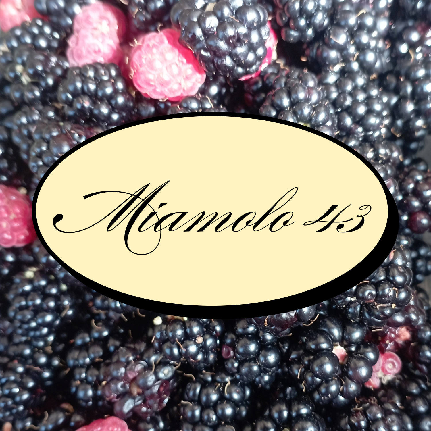 miamolo43